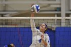 Wheaton Women's Volleyball  Wheaton Women's Volleyball vs Bridgewater State University. : Wheaton, Volleyball, BSU, Bridgewater State College